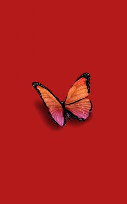 Aesthetic Butterfly Wallpapers