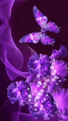 Purple Butterfly Aesthetic Wallpapers