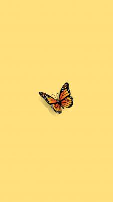 Butterfly Aesthetics Wallpapers