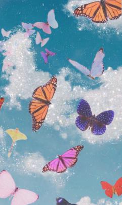 Butterfly Aesthetics Wallpapers