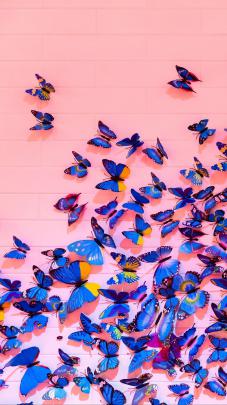 Purple Butterfly Aesthetic Wallpapers
