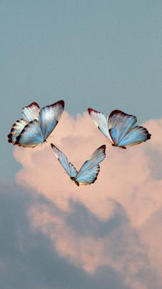 #wallpaper #cute #butterfly #aesthetic #iphone #iphonewallpapers | Blue 