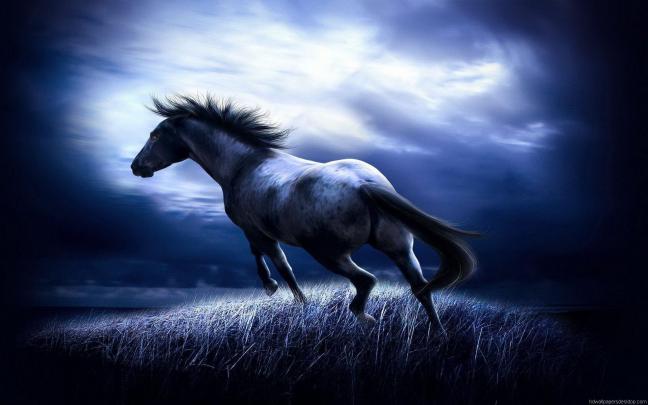 Animal Desktop Backgrounds
