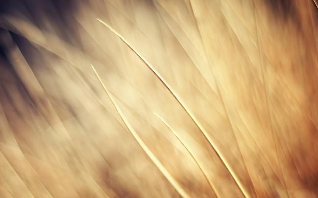 Beige Desktop Wallpaper
