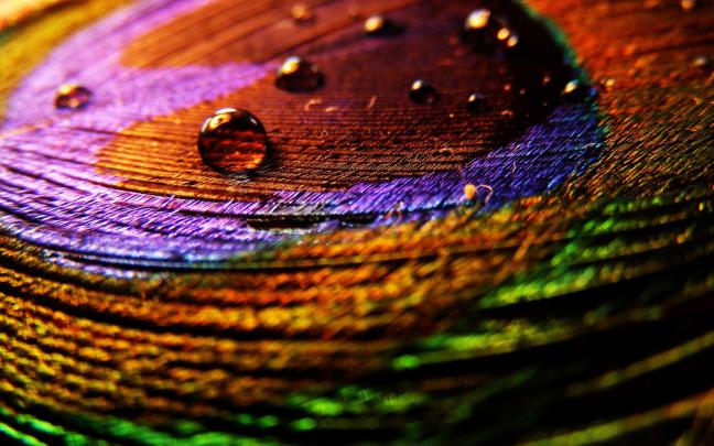 Unique Wallpaper: Creative HD Wallpapers