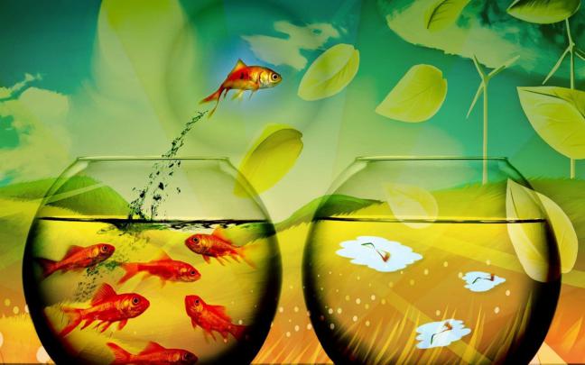 Creative Wallpapers For Laptop (50 Wallpapers) \u2013 Adorable Wallpapers