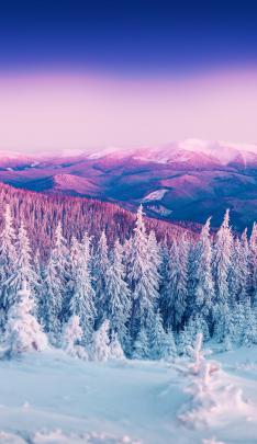 Free Cute Winter Wallpapers
