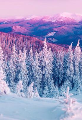 Cute Winter Wallpapers - Top Free Cute Winter Backgrounds - WallpaperAccess