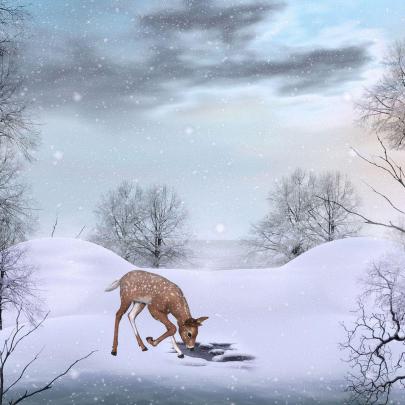 Cute Winter Backgrounds