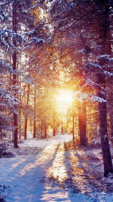 Cute Winter Backgrounds (52+ images)