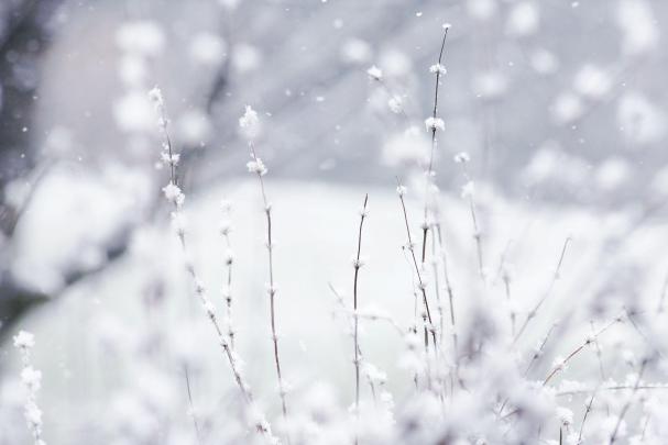 Cute Winter Wallpapers