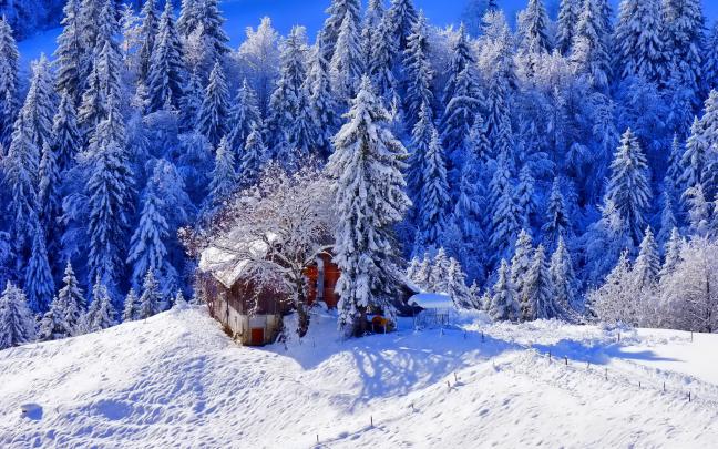 Cute Winter Snow Wallpapers - Top Free Cute Winter Snow Backgrounds 
