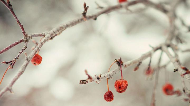 Cute Winter Computer Wallpapers
