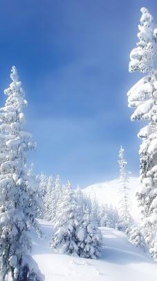 Cute Winter Wallpaper (67+ pictures)