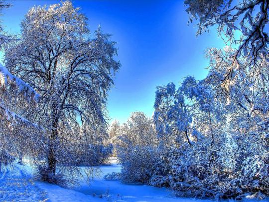 [60+] Cute Winter Backgrounds 