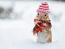 Cute Winter Desktop Wallpaper
