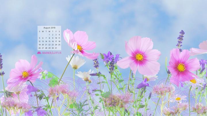 Desktop Wallpaper Calendar \u2014 August 2018 \u2014 Free to Download - Amber 