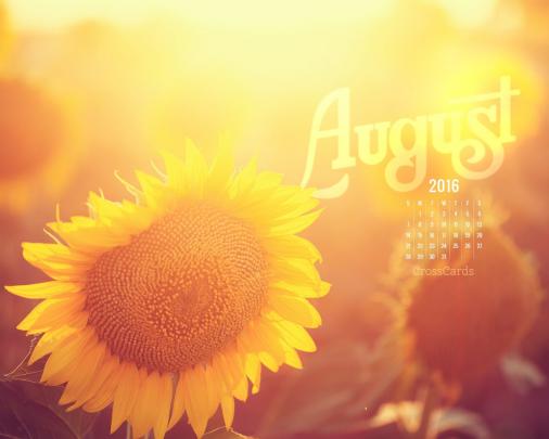 August 2016 - Sunflower Desktop Calendar- Free August Wallpaper