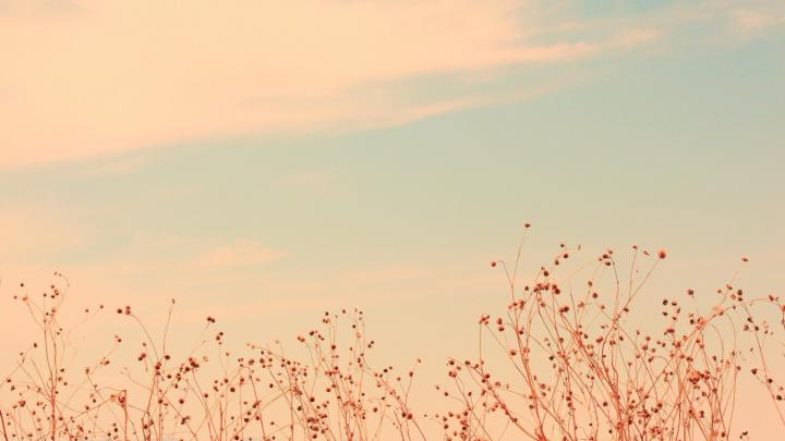 Beige Aesthetic Laptop Wallpapers - Top Free Beige Aesthetic Laptop 