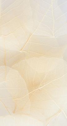 From pinterest | Nature iphone wallpaper, Beige wallpaper, Abstract 
