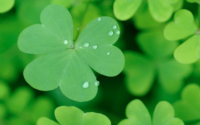 St Patrick\u0026#39;s Day Wallpaper Backgrounds -