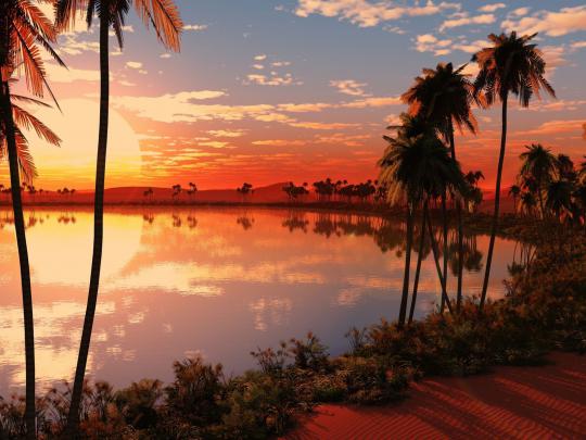 Free Desktop Background Wallpaper Outside -