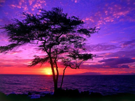 Free Hawaii Desktop Wallpapers