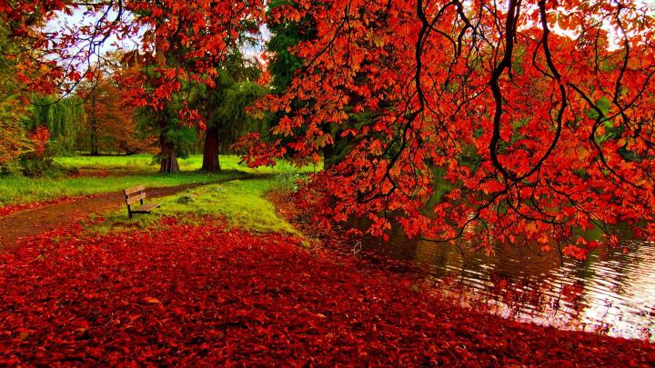 Fall Desktop Wallpapers HD