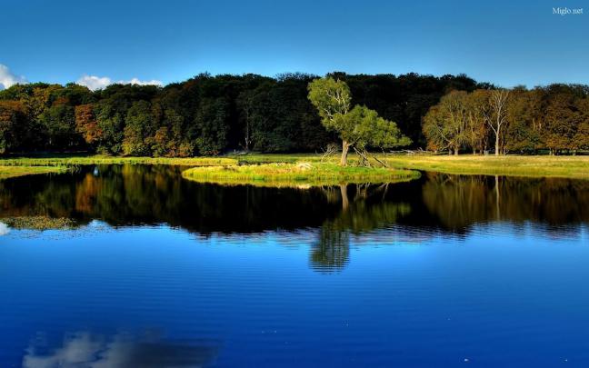 Animals Zoo Park: 3d Nature, Hd Nature Wallpapers for Desktop Background
