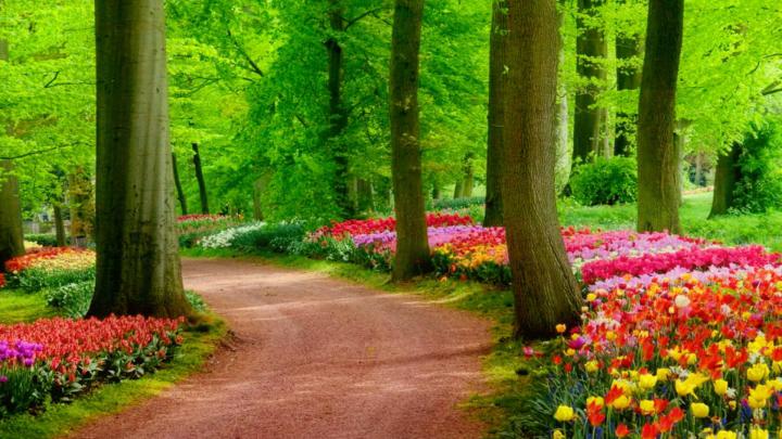 High Definition Nature Wallpaper (57+ images)
