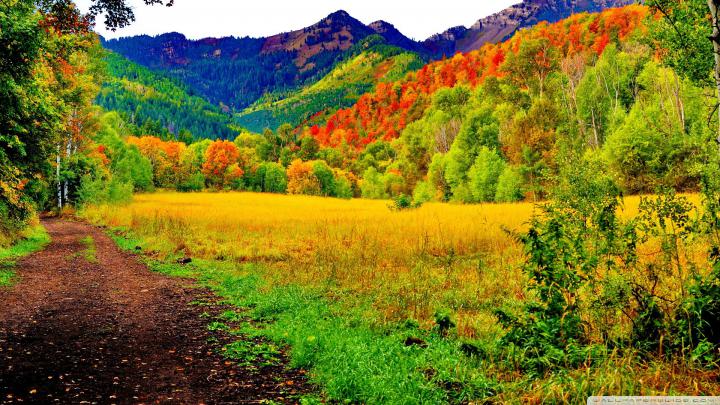 Landscape High Definition Quality Desktop Wallpapers Beautiful Free 