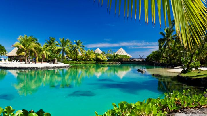 High Definition Tropical Wallpapers (63+ images)