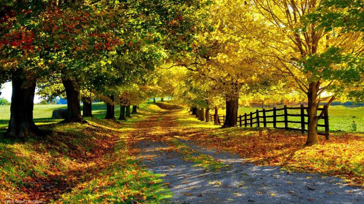 High Definition Nature Wallpaper (57+ images)