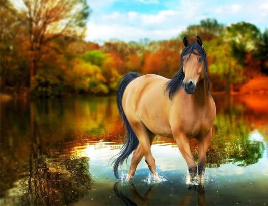 HD wallpapers desktop horse free - beautiful desktop wallpapers 2014