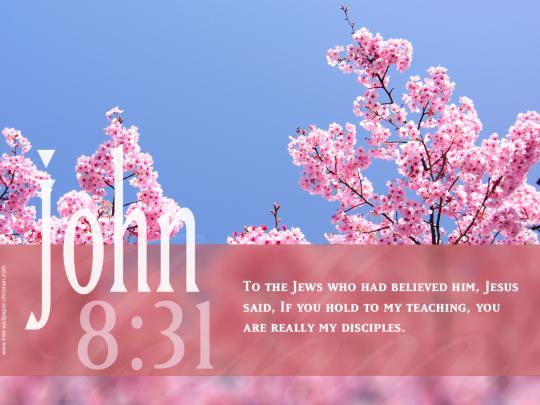 Inspirational Bible Quotes Wallpapers