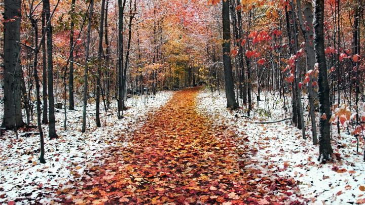 November Wallpapers HD free download