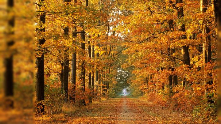 November background \u00b7\u2460 Download free awesome High Resolution 