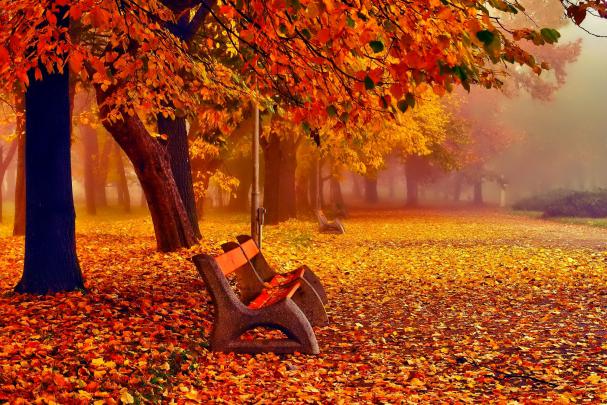 November wallpaper \u00b7\u2460 Download free awesome HD backgrounds for desktop 