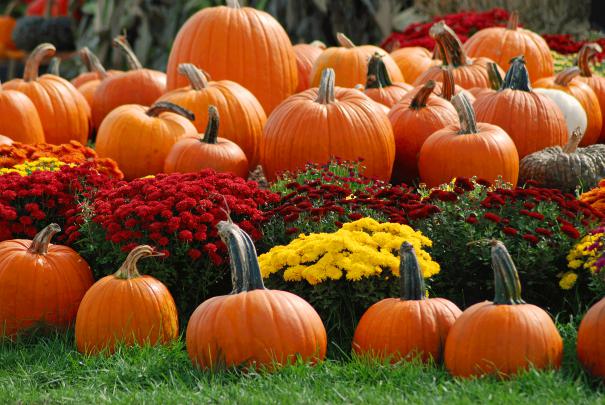 October Wallpaper Backgrounds -