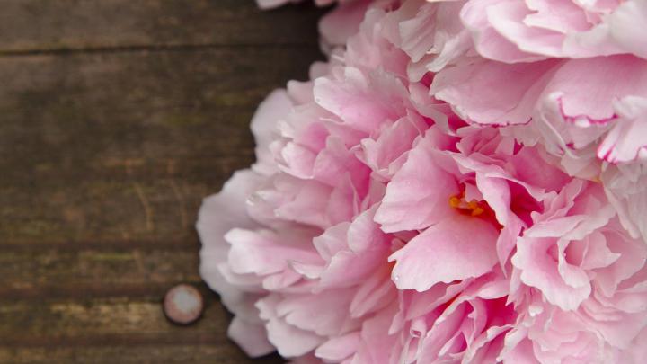Desktop Wallpaper Peonies (57+ images)
