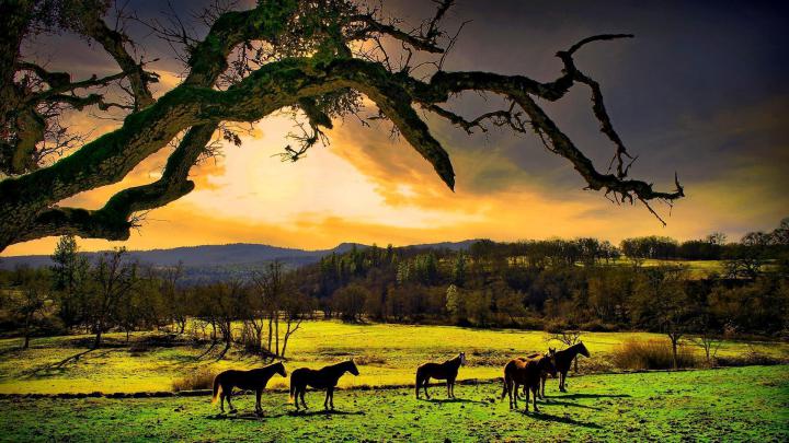 Relaxing Wallpapers