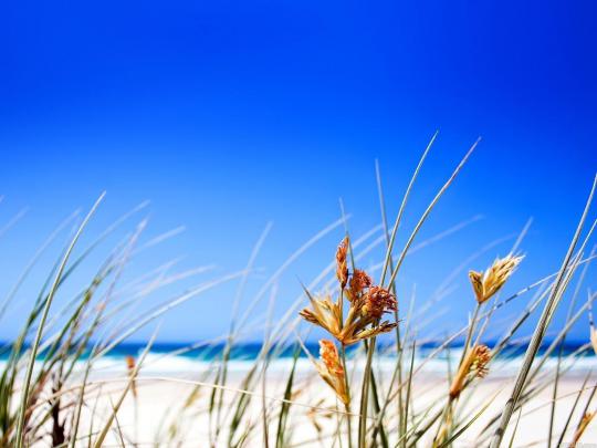 Free Summer Wallpapers For Desktop