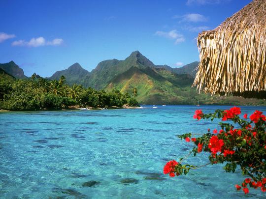 WALLPAPER DOWNLOAD: Summer Wallpaper For Desktop