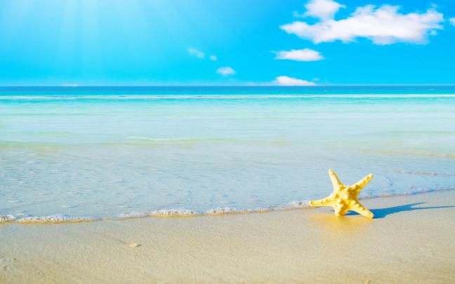 Free Summer Backgrounds