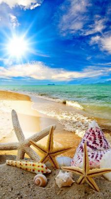 Summer Beach Wallpaper for Desktop (55+ images)