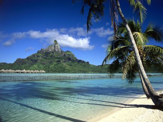 Summer Desktop Wallpaper Background HD