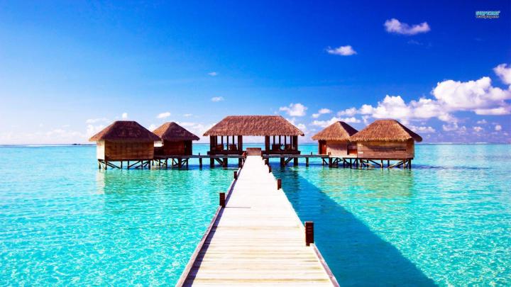 Summer Desktop Backgrounds