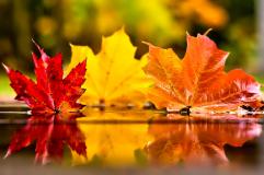 November Wallpaper Desktop