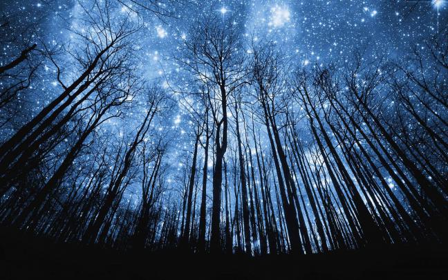 Starry Night Sky Wallpapers