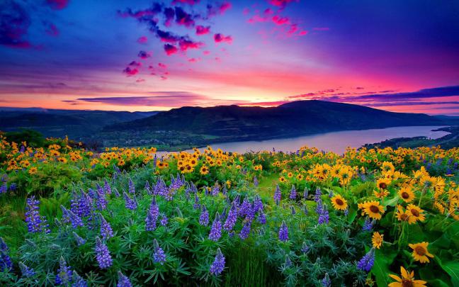 Peaceful Scenery Wallpaper (42+ images)